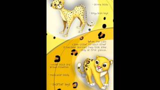 Cats With Spots - Amazing Animals Series Ios App Preview Iphone5