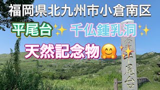 【九州drive】福岡県北九州市小倉南区  平尾台カルスト✨️＆千仏鍾乳洞✨️ 国の天然記念物😊✨️