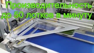 SmiPack FP500HS упаковка огурцов