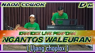 Ngantos waleuran-Ujang choplox karaoke nada Dm