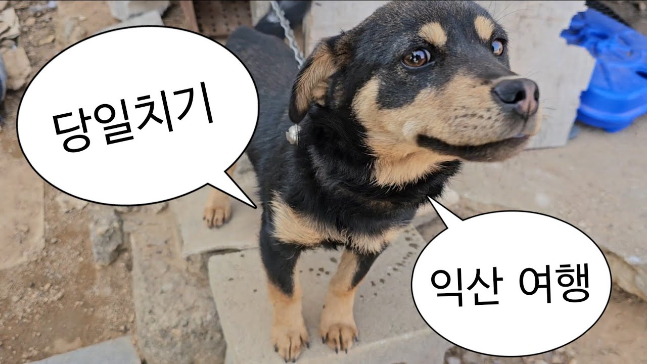 익산 당일치기 여행👟뚜벅이도 2천원으로 가능