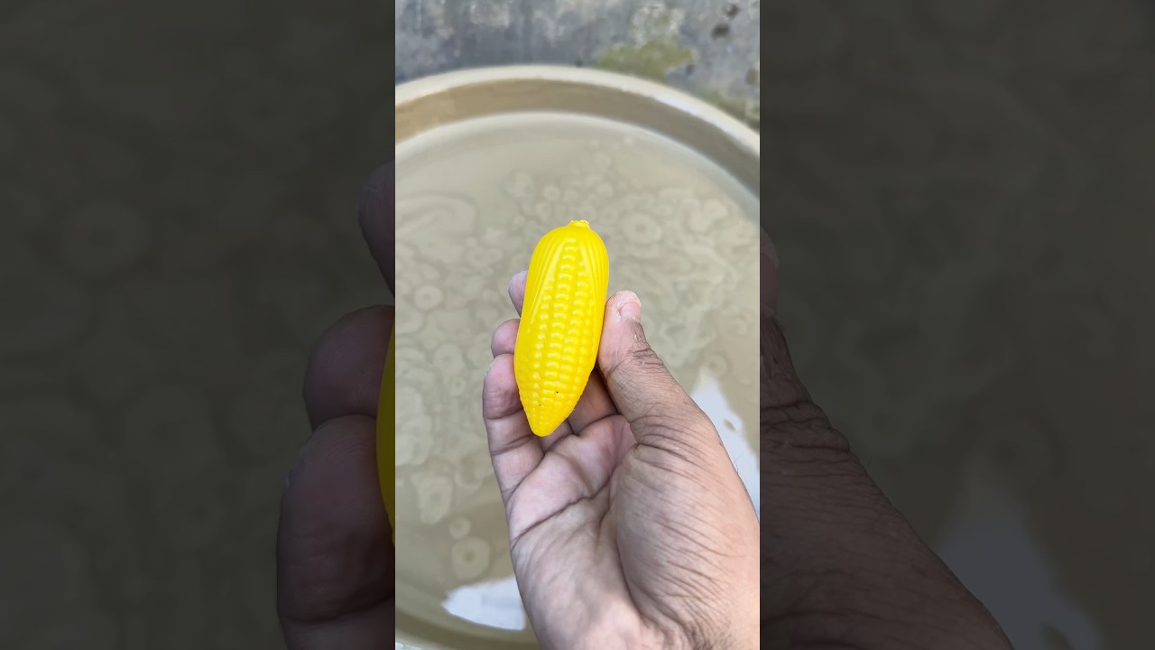 Corn satisfying cleaning asmr