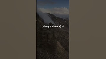 سورة الأنعام 164/ #ياسر_الدوسري #القران_الكريم #تلاوات #تلاوة #تلاوات_خاشعة #quran #quran_kareem