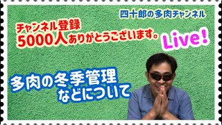 【多肉植物】本日2回目ライブ！　多肉の冬季管理などについて（続編）