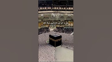 سعد الغامدي/راحة النفسيه/تلاوة خاشعة يخشع له القلب 💦❄️❄️🍒🌺✨