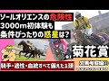 【菊花賞2023攻略①】皐月賞、ダービー馬を越えた信頼したい1頭を紹介！ ソールオリエンスは京都芝3000ｍを乗り越えられるのかを教えます【競馬予想】