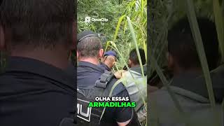 Ação Policial Revela Armadilhas Perigosas #shorts #rells #policia #pmesp
