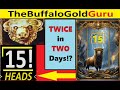 Amazing15 gold heads 14th time  side by side jackpots on buffalo gold slots