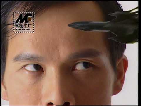 罗大佑 飞车 LD Decode