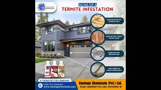 SIGNS OF A TERMITE INFESTATION – DON'T IGNORE THESE WARNING SIGNS!