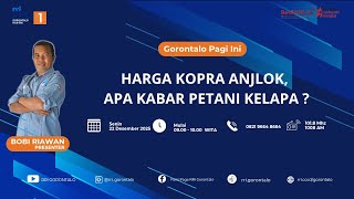 Gorontalo Pagi Ini Harga Kopra Anjlok Apa Kabar Petani Kelapa