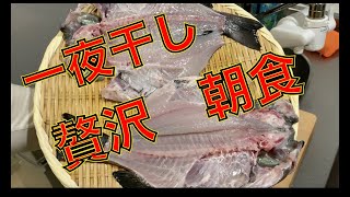 【自宅で簡単】一夜干しで朝食を作れば充実した1日がはじまる！メジナ（グレ）の2枚おろし