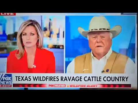 Texas - Gird down, worst fire in US history, LIVESTOCK no feed. Critical Infrastructure attacked