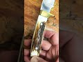 Fixed Blade Knife on the Wild Side! #edc #cutlery #edcorganizer #blade #bowieknife #fixedblade #