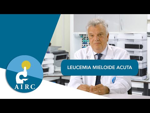 Video: Leucemia Mieloide Acuta (LMA): Sintomi, Cause, Prognosi E Altro