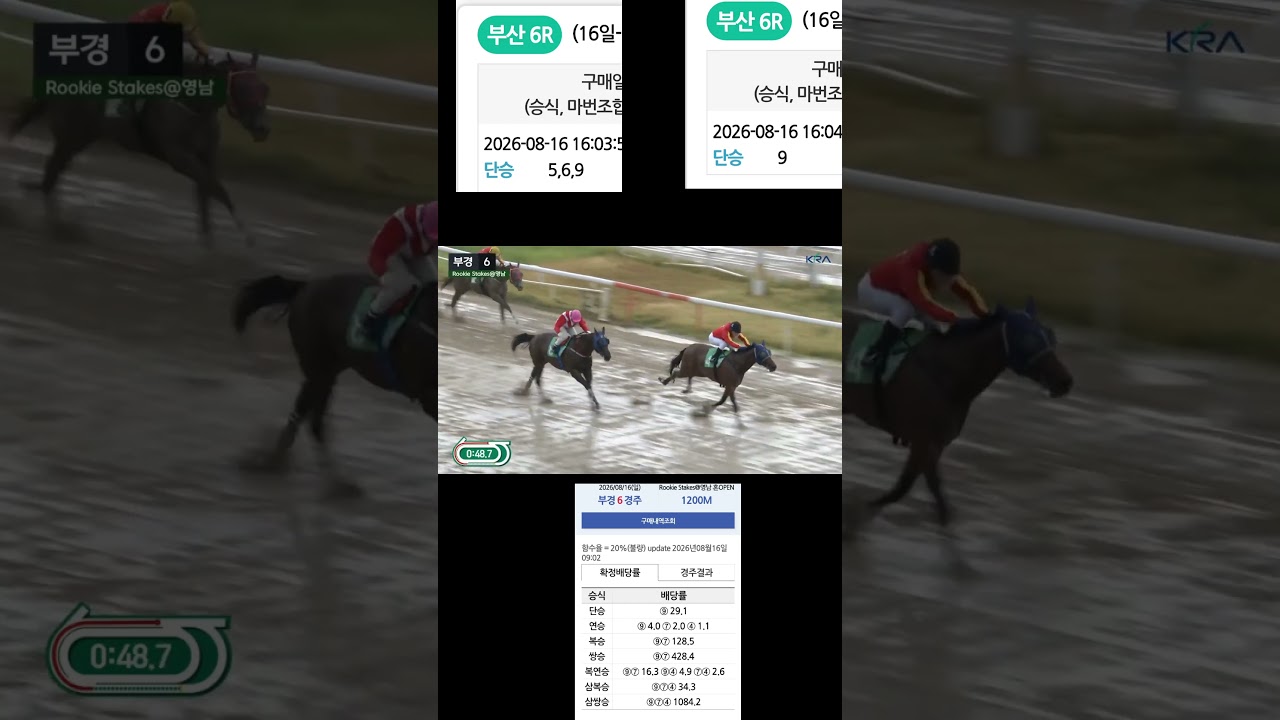 단승29배적중 9번주력