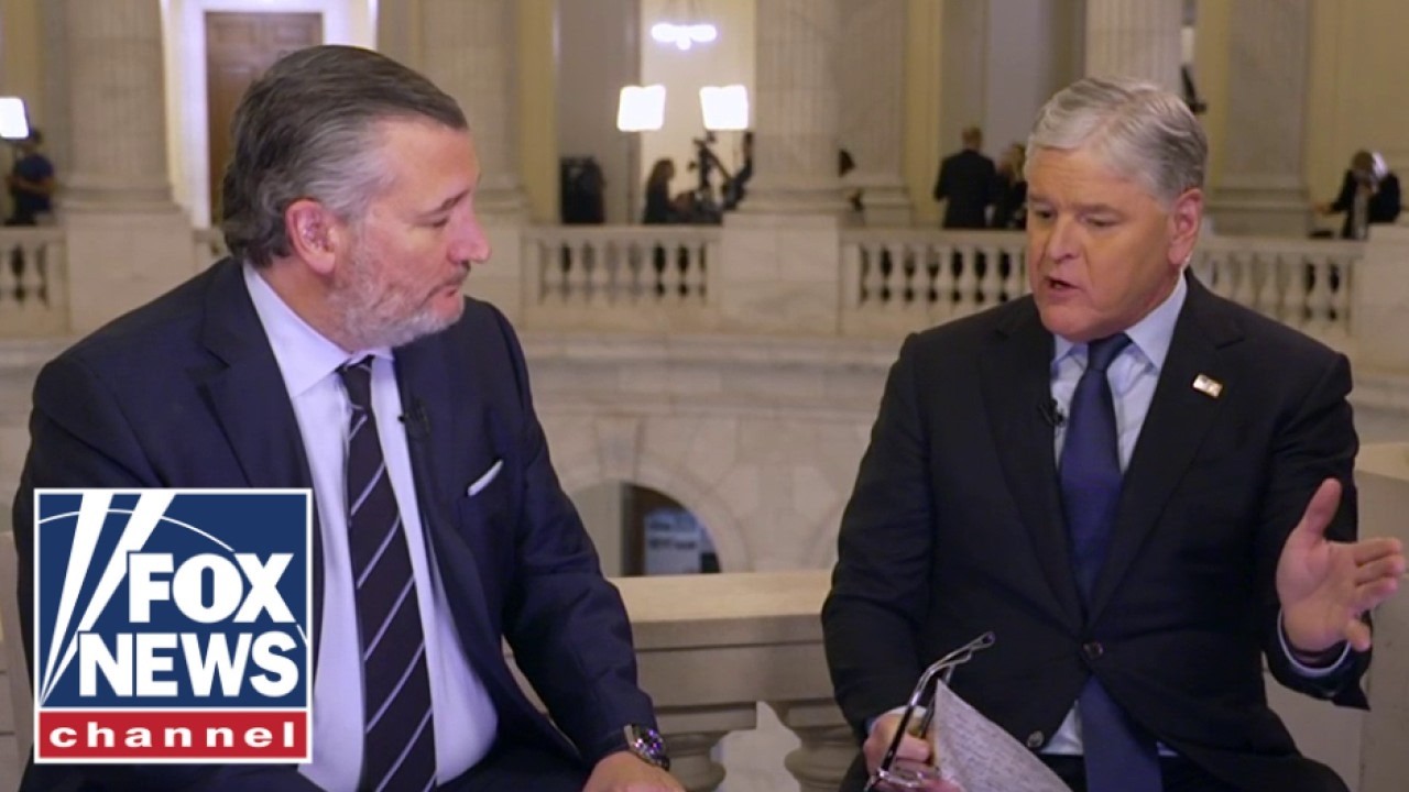 Ted Cruz: Dems are a party of ‘ANGER AND RAGE’