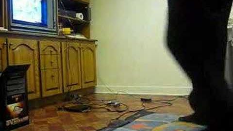 DDR Kind Lady on Heavy - AA