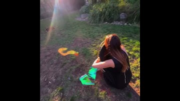 Acceptance / Reflection Assignment 2