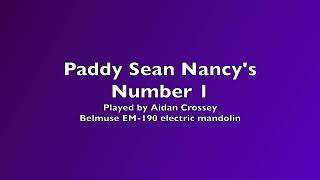 Video thumbnail of "Paddy Sean Nancy's Number 1 - recorded for the Mandolin Players In Ireland Social Club"