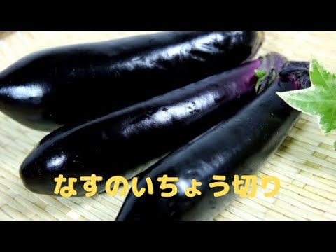 なすのいちょう切りの方法Eggplant quarter slice