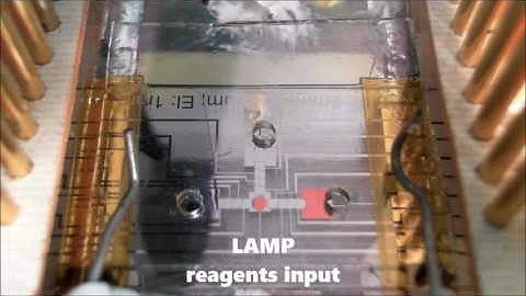 DMF demonstrative video