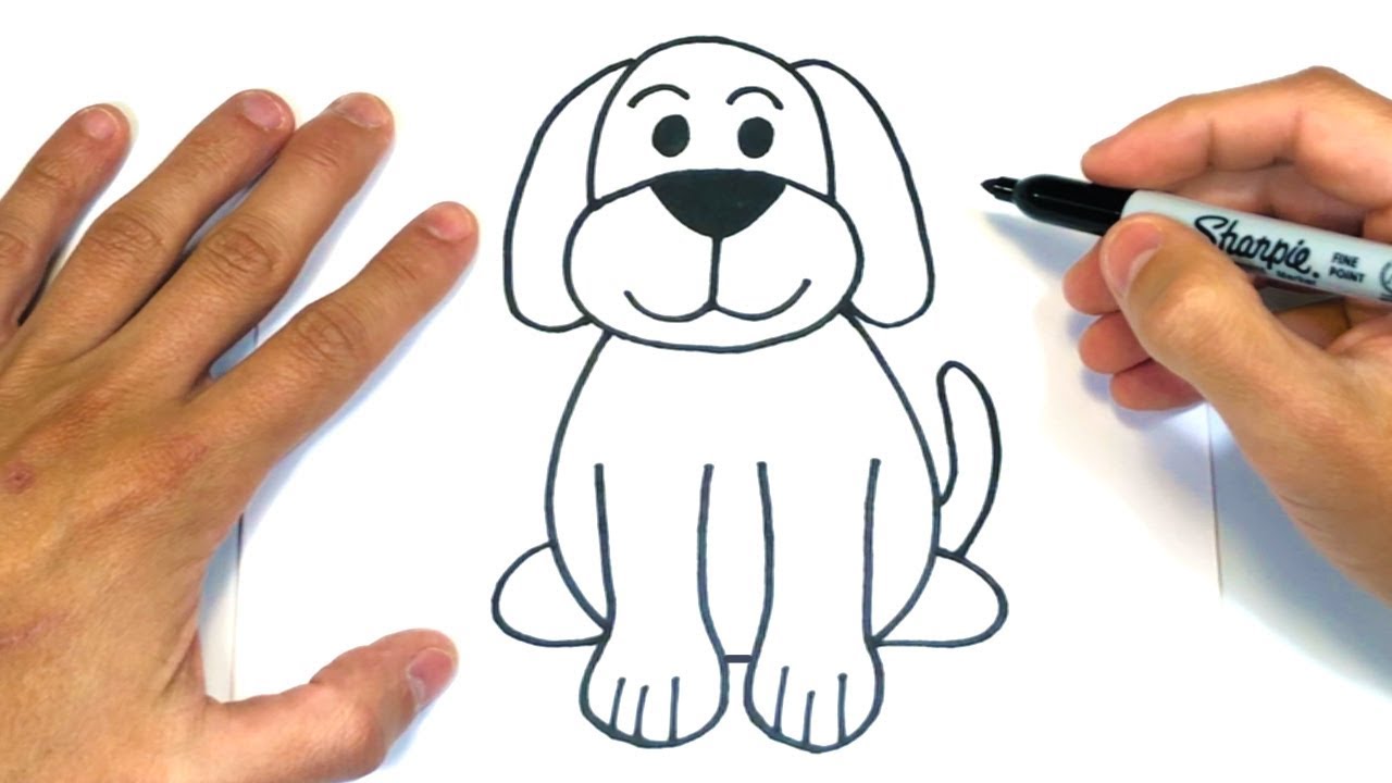 Cómo dibujar un Perro Paso a Paso | Dibujos de animales - thptnganamst.edu.vn