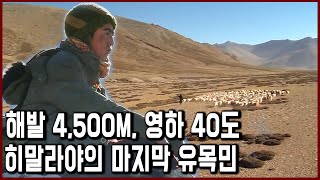 해발 4,500m 영하 40도 히말라야의 차가운 사막에서 살아가는 사람들_천상의 길, 창탕