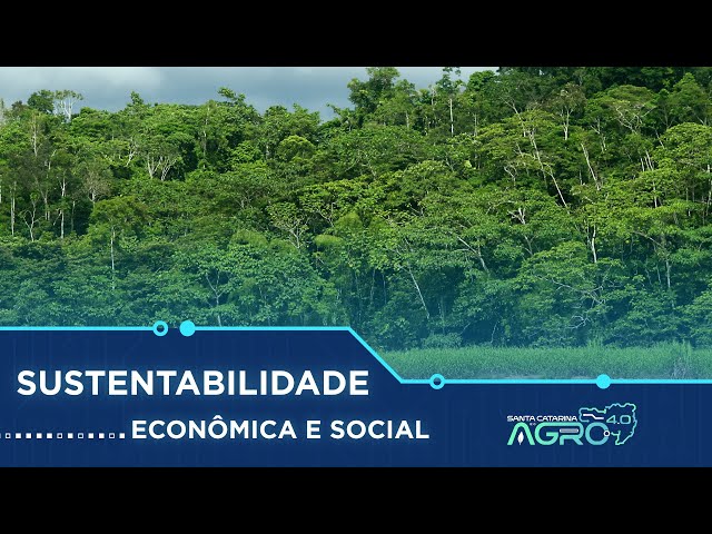 Sustentabilidade econômica e social| Canal Rural