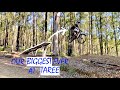 Taree, Kiwarrak || Epic MTB destination with everything!