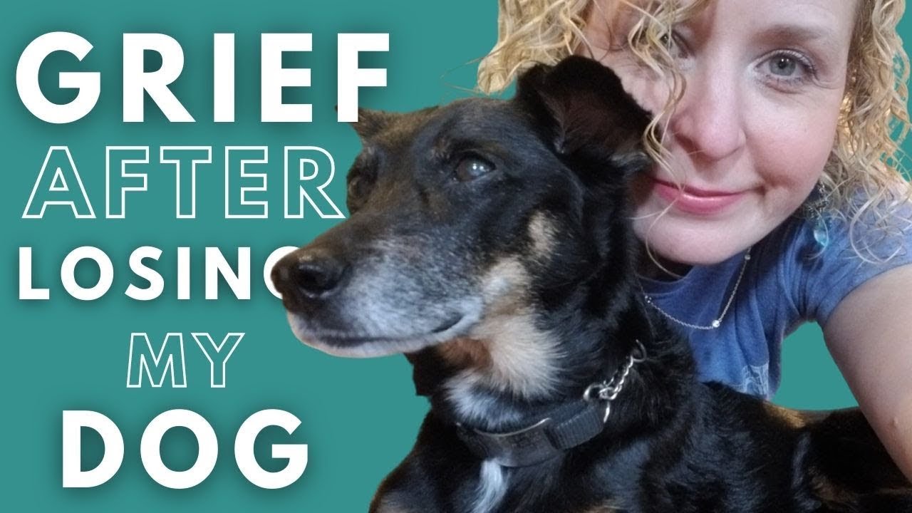Survival Tips to Help You Recover From a Pet’s Death | (A Tribute to My Dog)