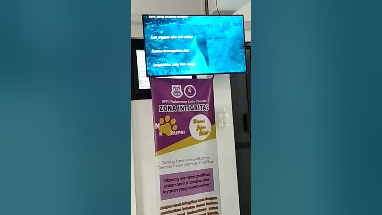 pemeriksaan kucing Puskeswan Cimahi - YouTube