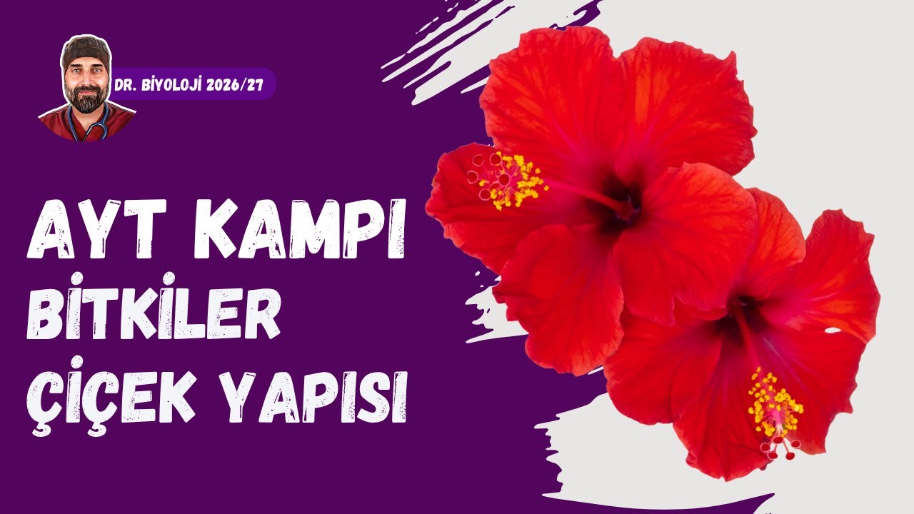 Bitkilerde Üreme Çiçek Yapısı | Dr. Biyoloji | AYT Dönem 2026 - 2027
