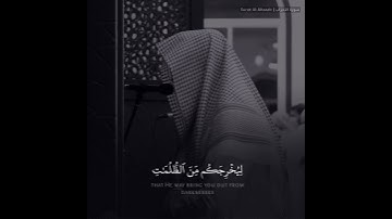 ﴿يا أيها الذين آمنوا اذكروا الله ذكرا كثيرا﴾ تلاوة قصيرة | القارئ عبدالله الموسى