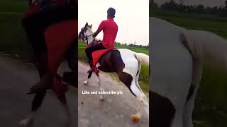 horse race || horse riding shorts video || #short