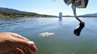 Big Bear Lake CA Fishing - Trout Limits - Multispecies