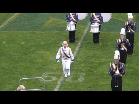 Drum Major Salutes 2008 Msboa At Niles Youtube