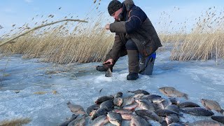 ВЕСЕННИЙ ЛЁД РАЗДАЕТ! КАРАСИ НЕ ЛЕЗУТ В ЛУНКИ! ЗАКРЫТИЕ СЕЗОНА ТВЕРДОЙ ВОДЫ