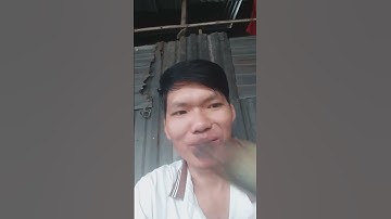 CÁ RÔ CHIÊN GIÒN #shorts |TẤN PHÁT VLOGS