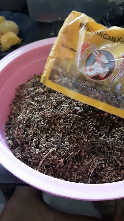 cara mix tembako dan cengkeh