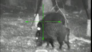 Yukon Photon Xt 6,5X50L,Iluminator Pulsar 850 X