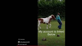 Go Check Out Right Now