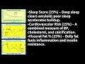 【ChatGerry】Dementia & Its Relationship with Blood Vessel Damage: A Quantitative Perspective(No.1369)