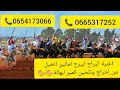 الفرجة والمتعة مع المير البهالة ومجموعته الشرفاء البهالة للتراث الشعبي