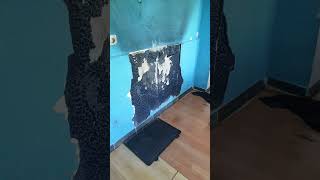 Daflong Kirici Deli̇ci̇. Zorladik Bi̇raz Isindi Ama Çalişmaya Devam Edi̇yor İlti̇