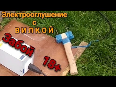 Видео: Забой свиньи с электропарализацией. Вилка. Самодельный парализатор в работе.