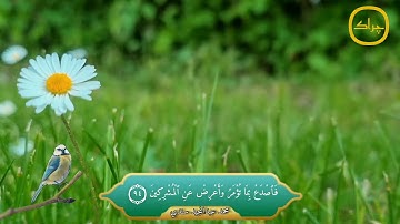 القارئ محمد عبدالمجيد سندي تلاوة جميلة
