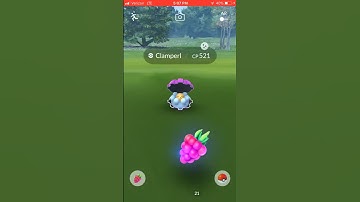 Pokémon Go: Shiny Clamperl