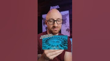 This 🐡 is AMAZING! 😱#amazing #mindblown #creationism #intelligentdesign