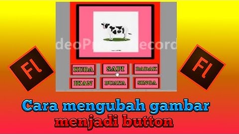 cara mengubah gambar menjadi tombol pada Adobe flash mudah dan jelas